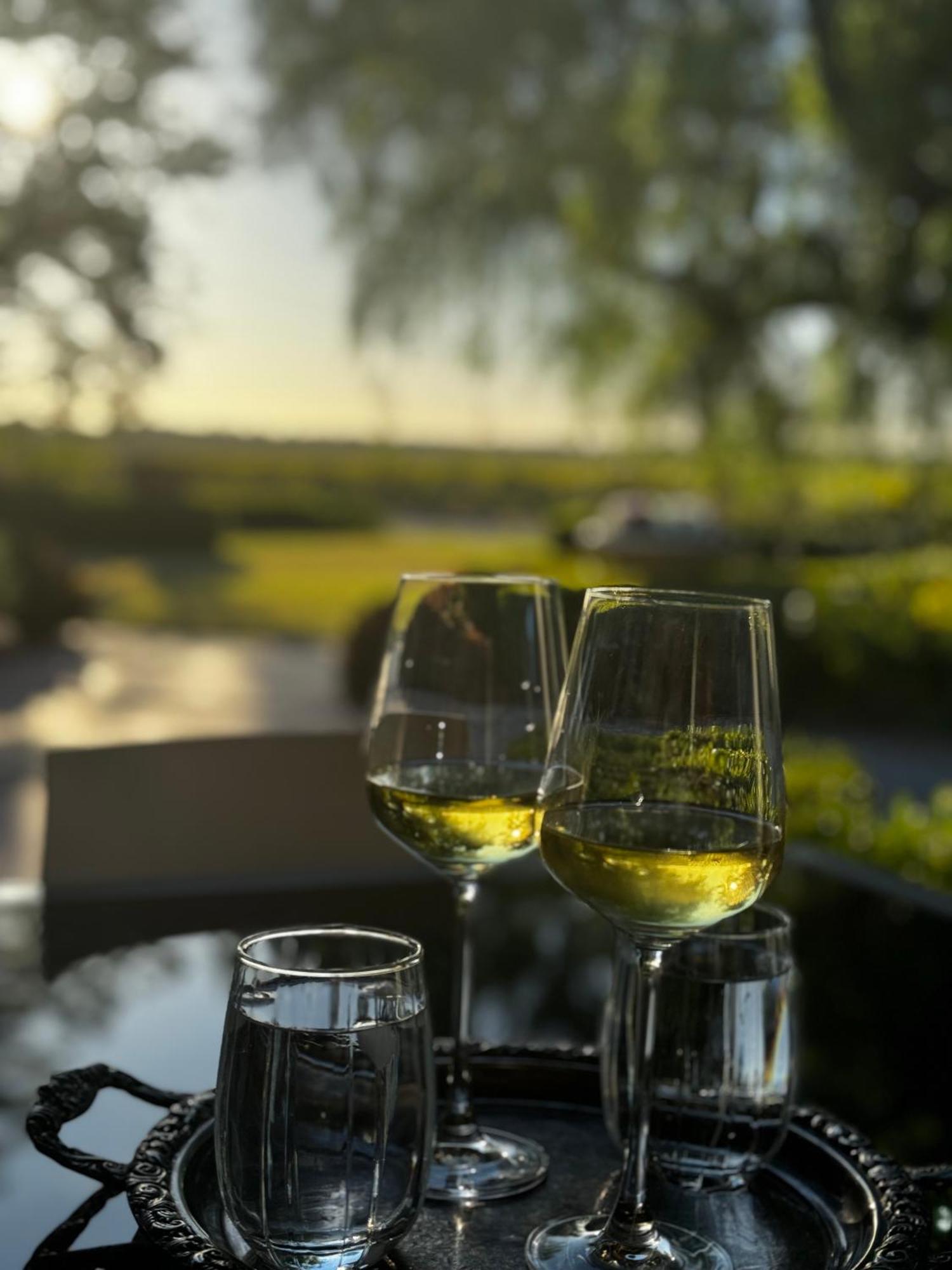 Barossa House Panzió Tanunda Kültér fotó