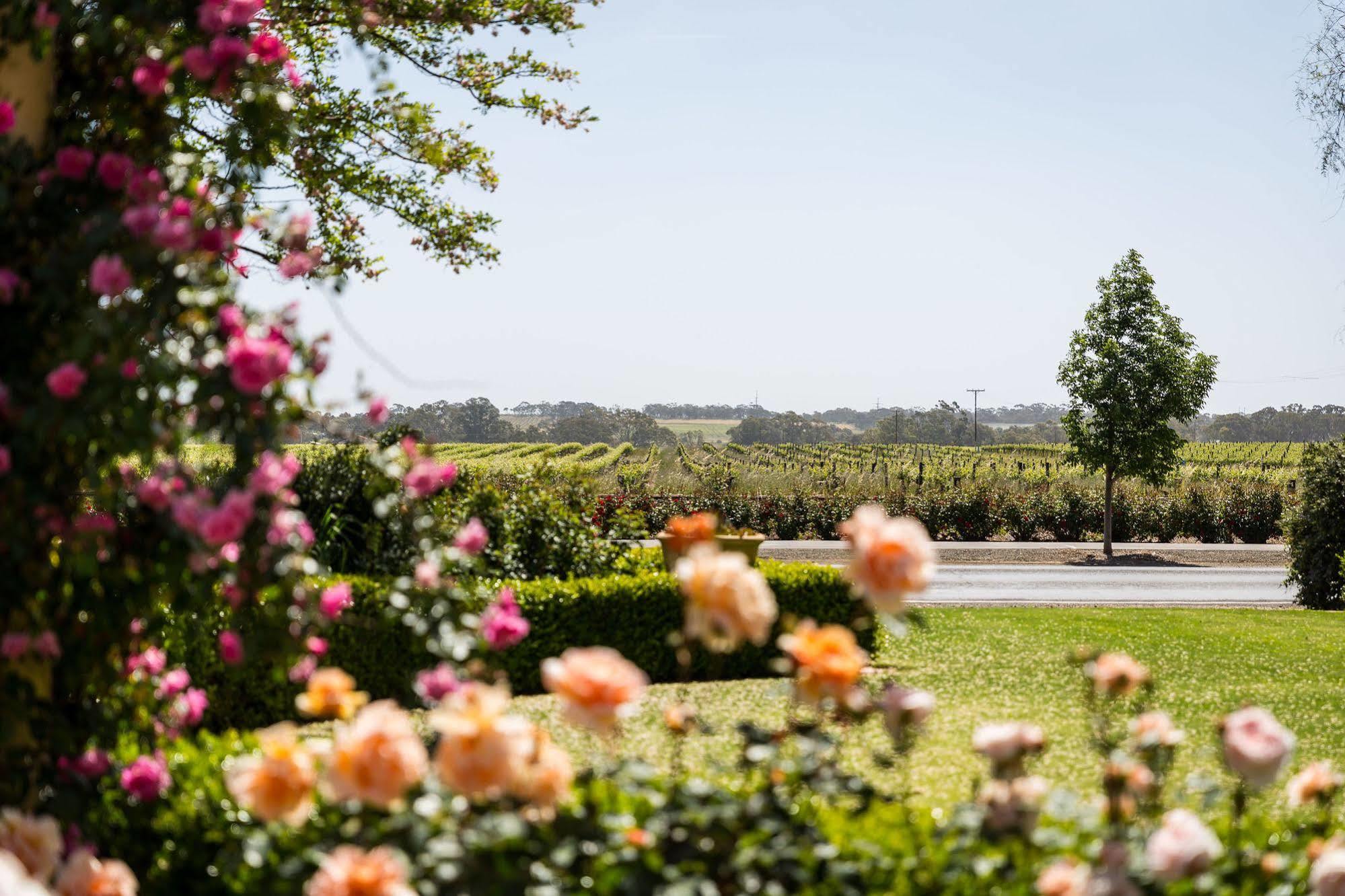 Barossa House Panzió Tanunda Kültér fotó